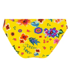 Bas De Maillot De Bain Slip Seduction
