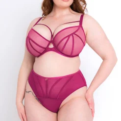 Culotte Haute