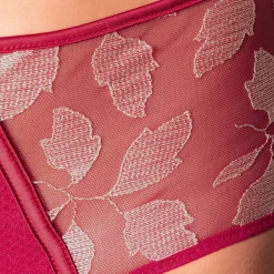 Culotte Haute