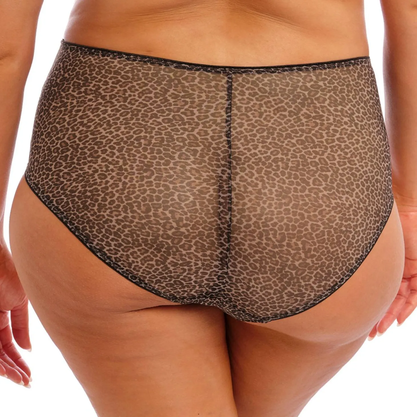 Culotte Haute