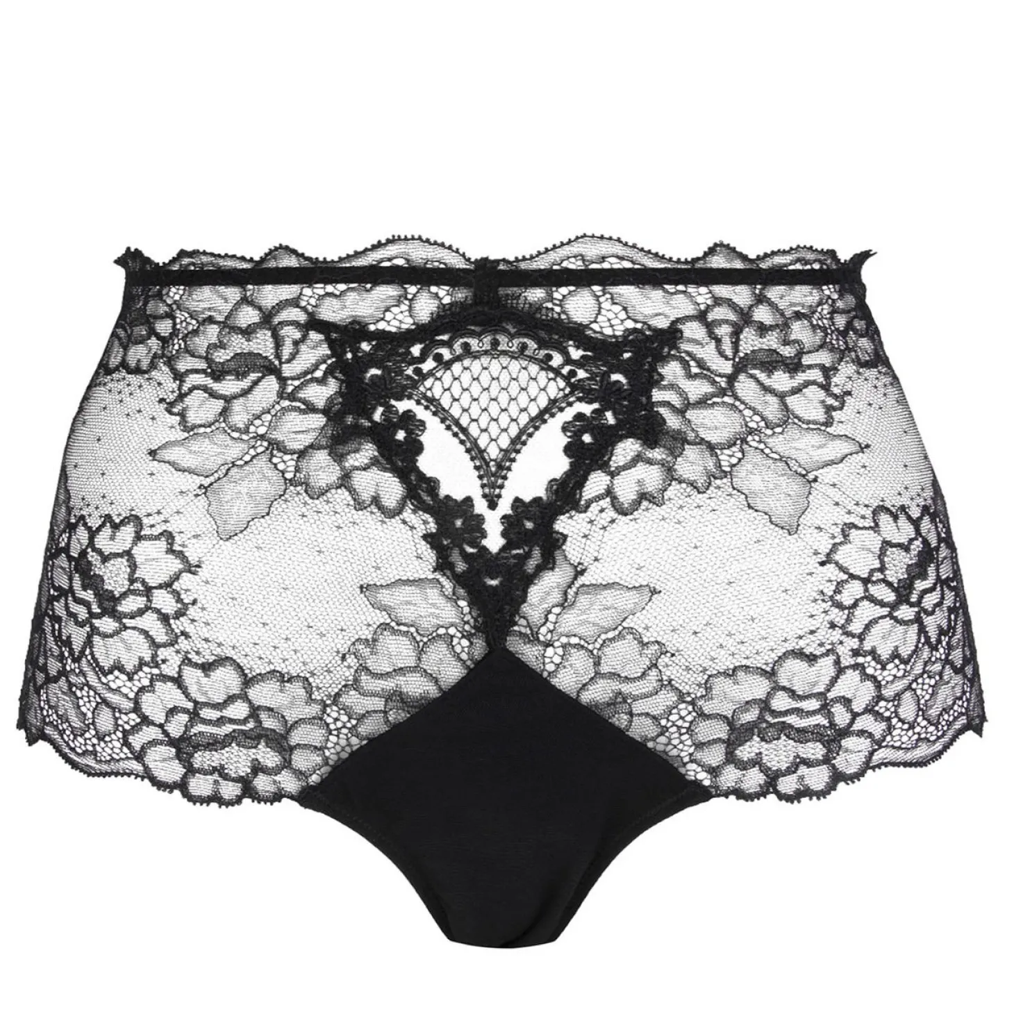 Culotte Haute Sexy En Dentelle