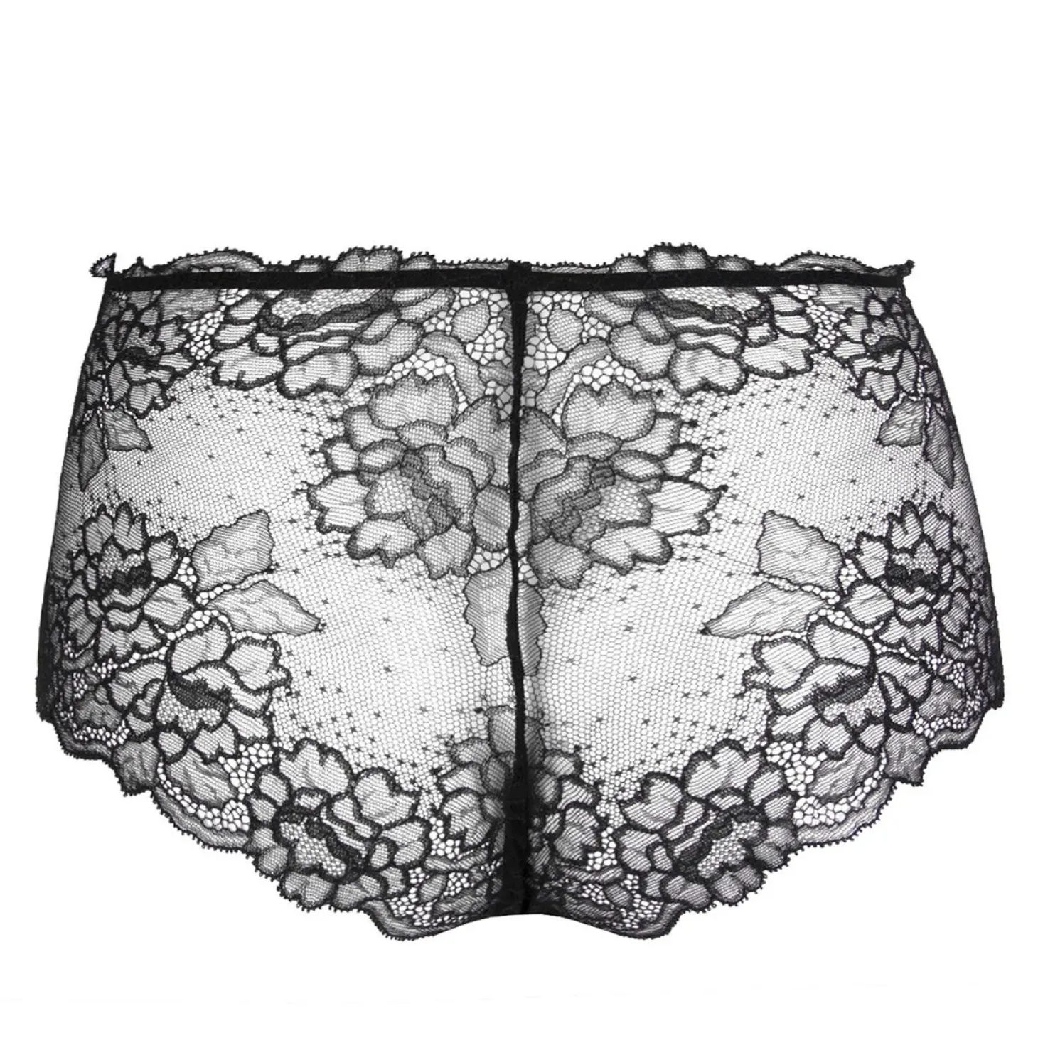 Culotte Haute Sexy En Dentelle