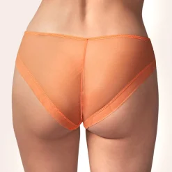 Slip Brésilien En Dentelle