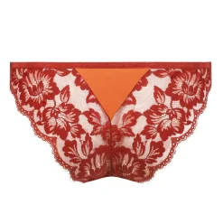 Tanga En Dentelle